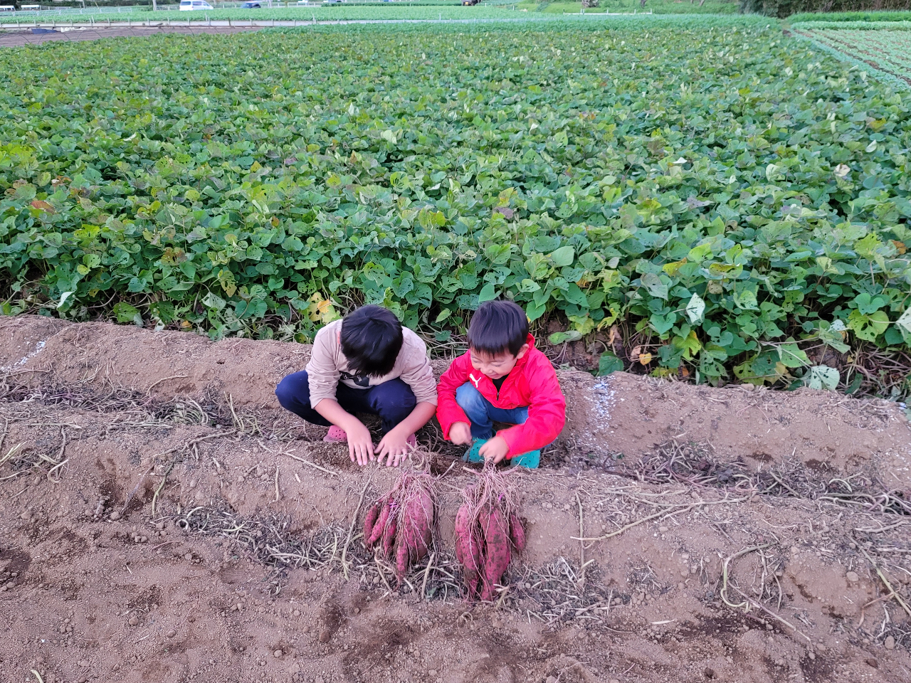 Tc}C@ł܂(ׂɂ͂邩)