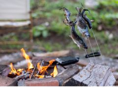 釣った魚は炭焼きで♪
