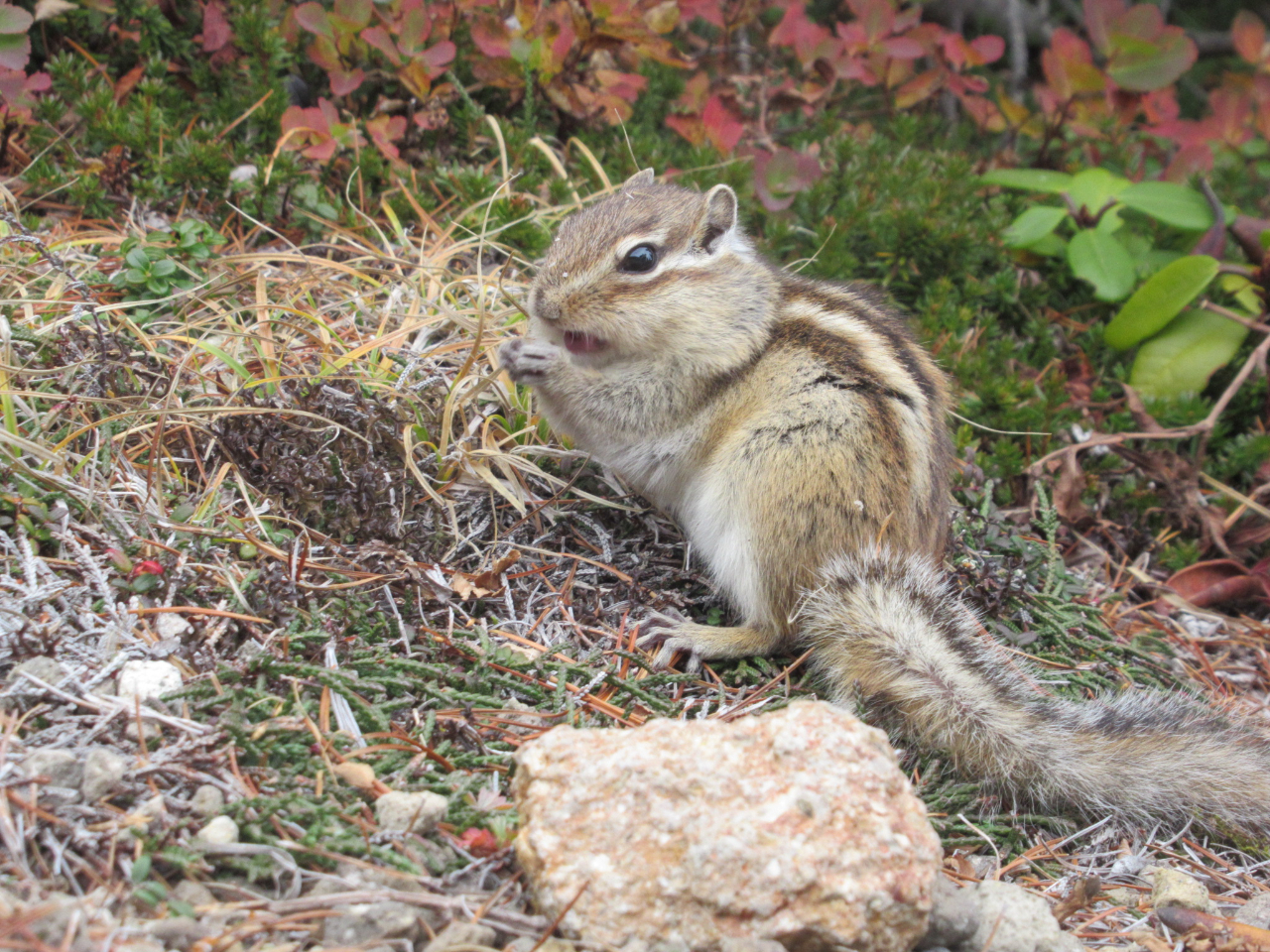 �G�]�V�}���X