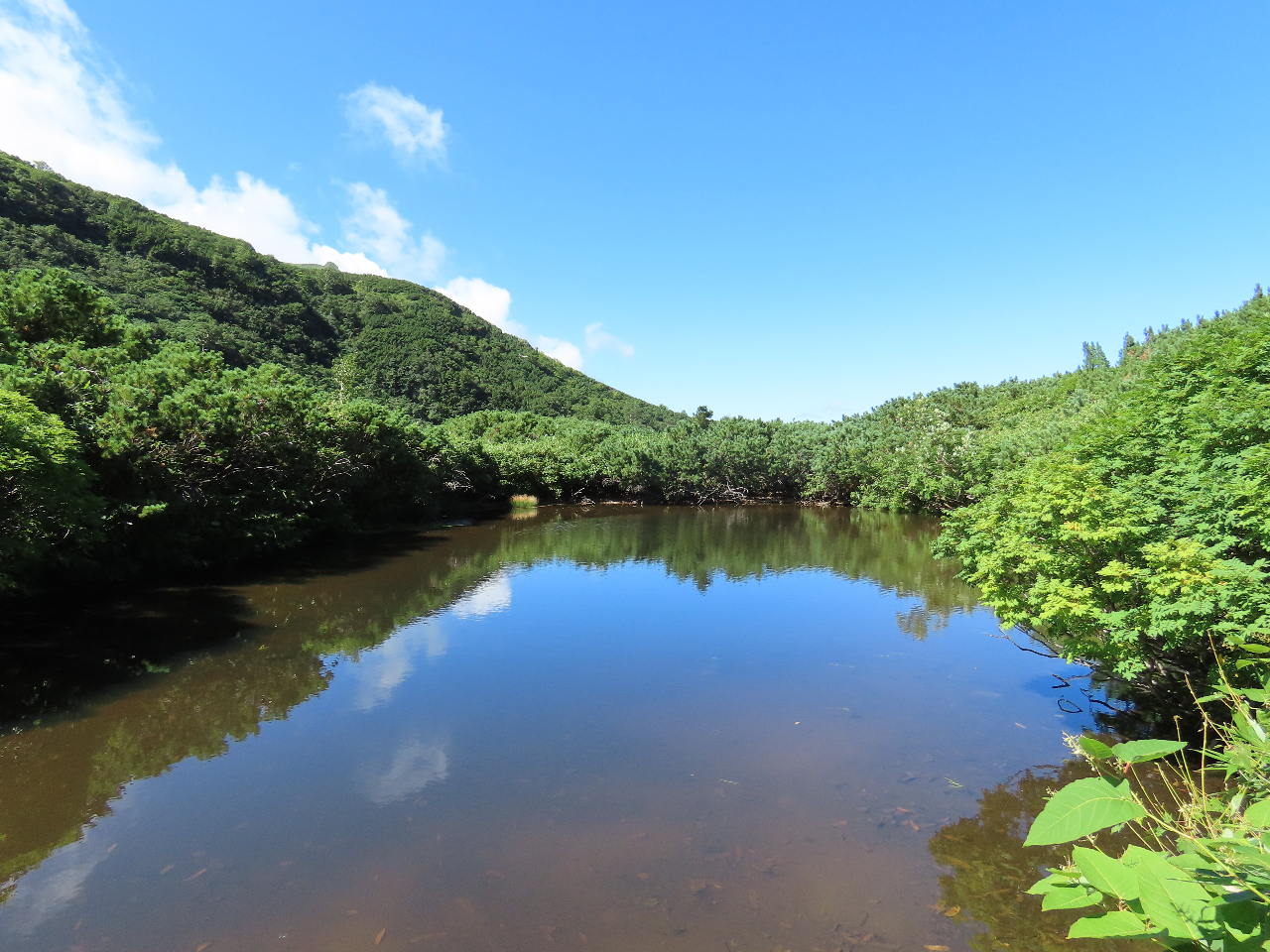 �n�̑����r