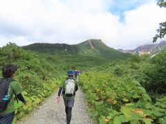 歩きやすい登山道です(勾配は少ないので初心者でも安心)