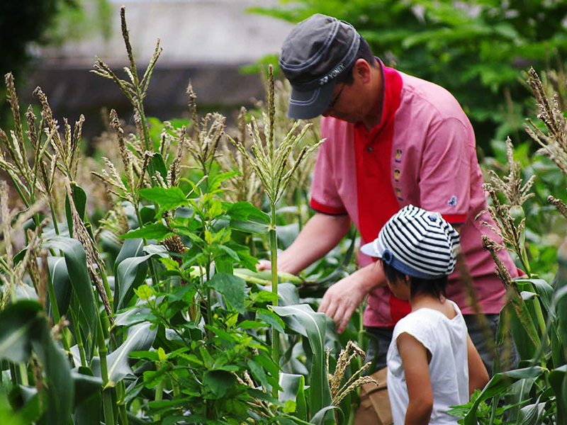 ���C�`���ƂĂ��Â��Ĕ��������ł����