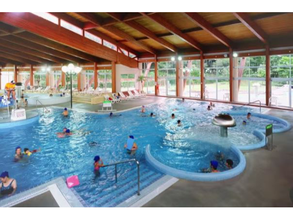 【最大110円割引】ろまんちっく村 アグリスパ 入場チケット ≪ファミリー・カッ...