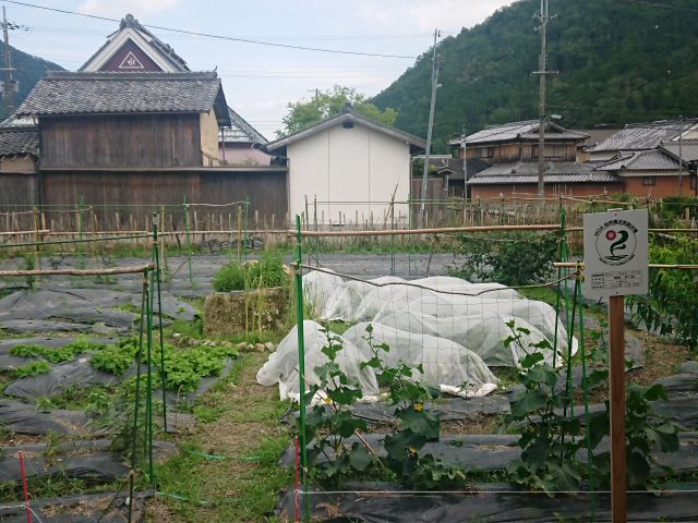 曼荼羅ガーデン