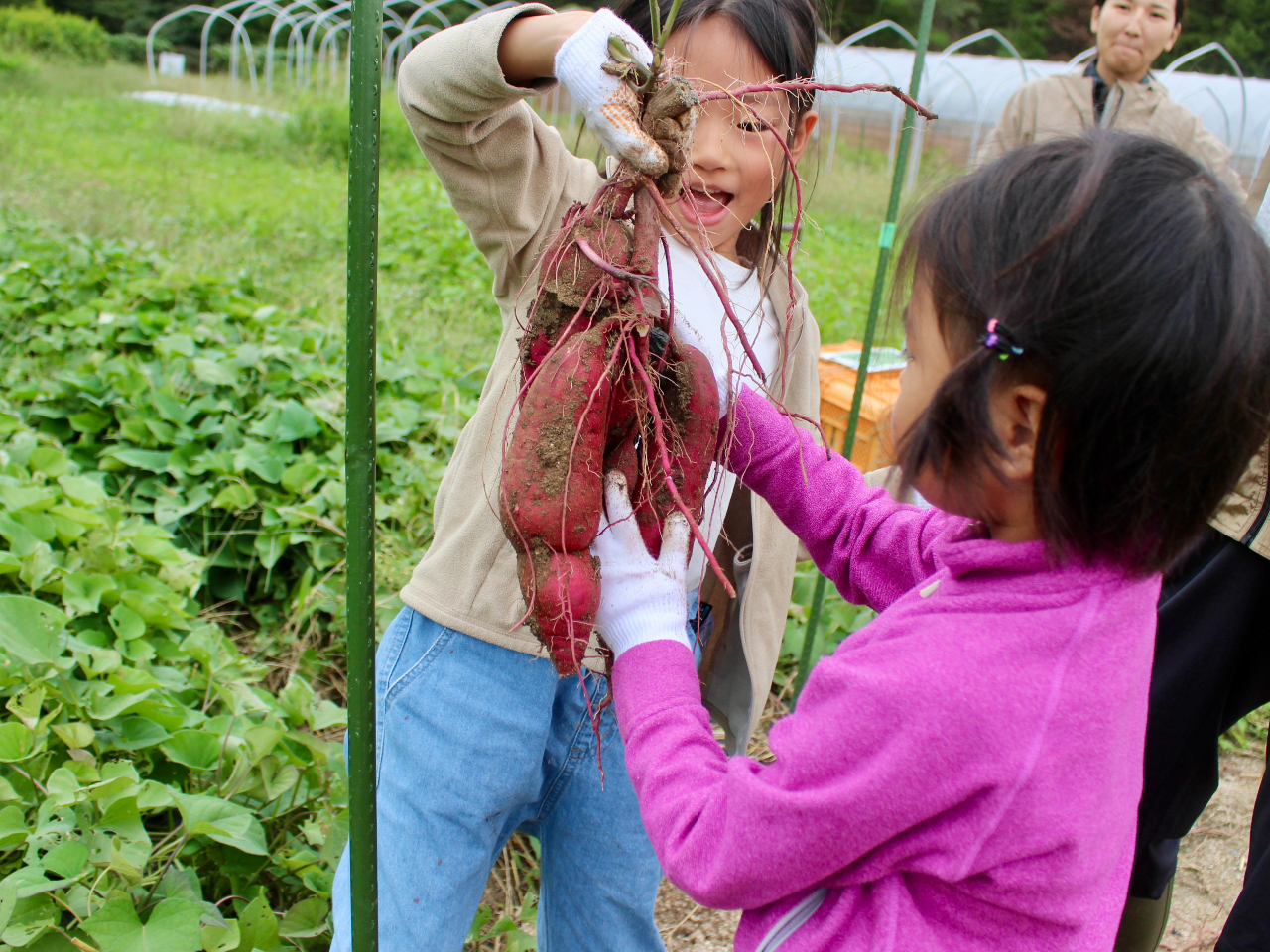 ���n���i