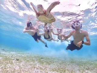 今までうみがめ遭遇率100%!