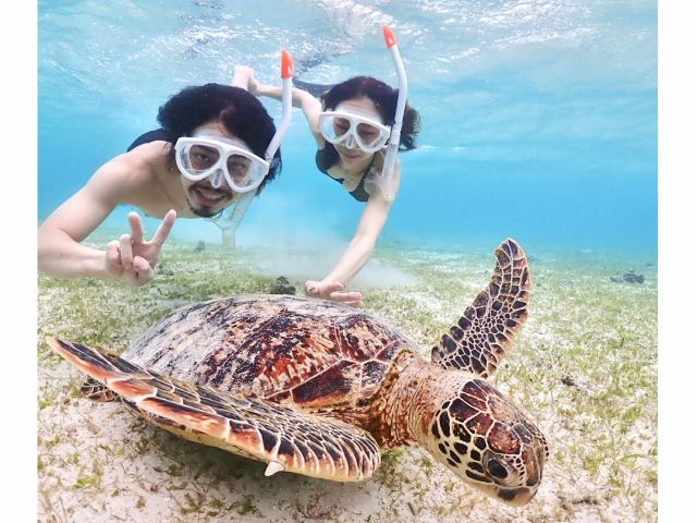 うみがめとたくさん記念撮影しましょう!