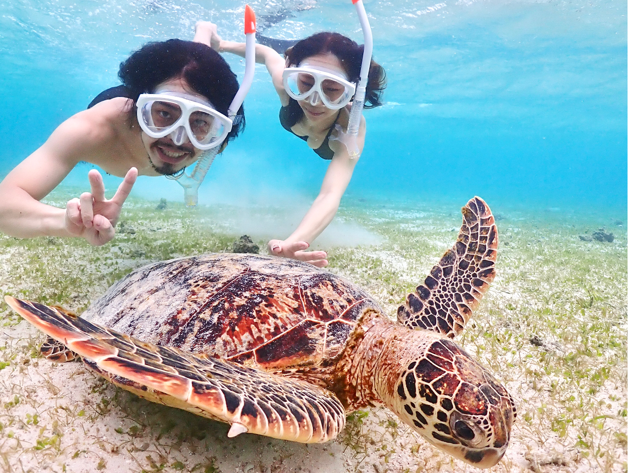 うみがめとたくさん記念撮影しましょう♪