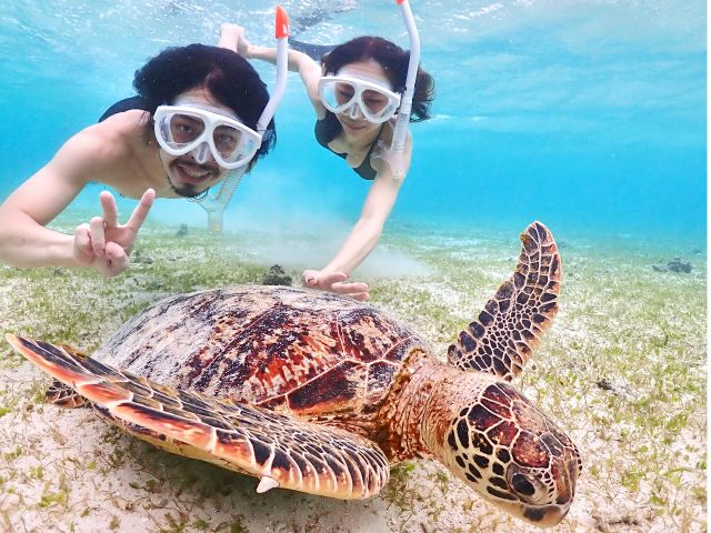 うみがめとたくさん記念撮影しましょう♪