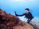 Goproレンタルで、撮影まで楽しめます!