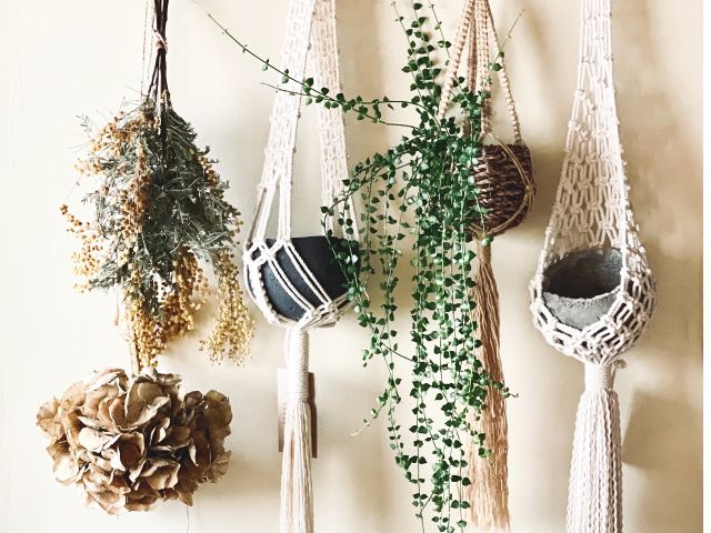 東京 浅草 築70年の古民家でつくる マクラメ編みプラントハンガー Greenlife Journal じゃらん遊び体験 東京 浅草 築70年の古民家でつくる マクラメ編みプラントハンガー Greenlife Journal じゃらん遊び体験