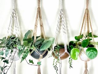 それぞれに植物を飾ったイメージ写真です♪