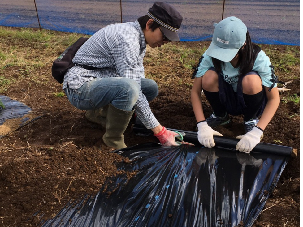 ���n�͂������ł����A���낢��Ȋ���������܂��B������Ƃ͂���܂���̂ł����S���������I