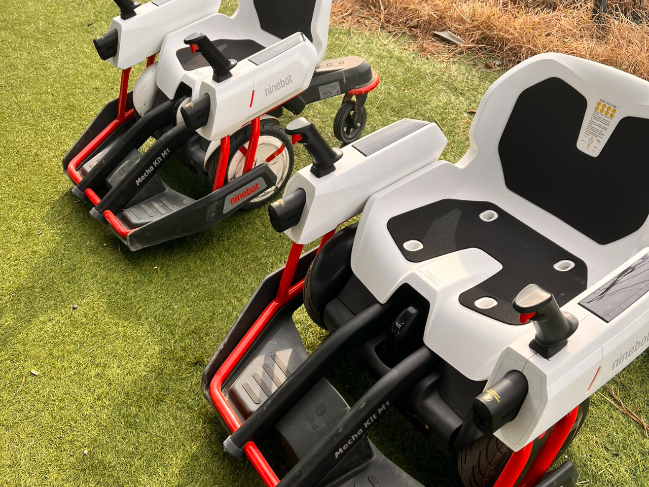 yQz{œX̃`J[gIfnJ[gƓƂȂĂ܂B