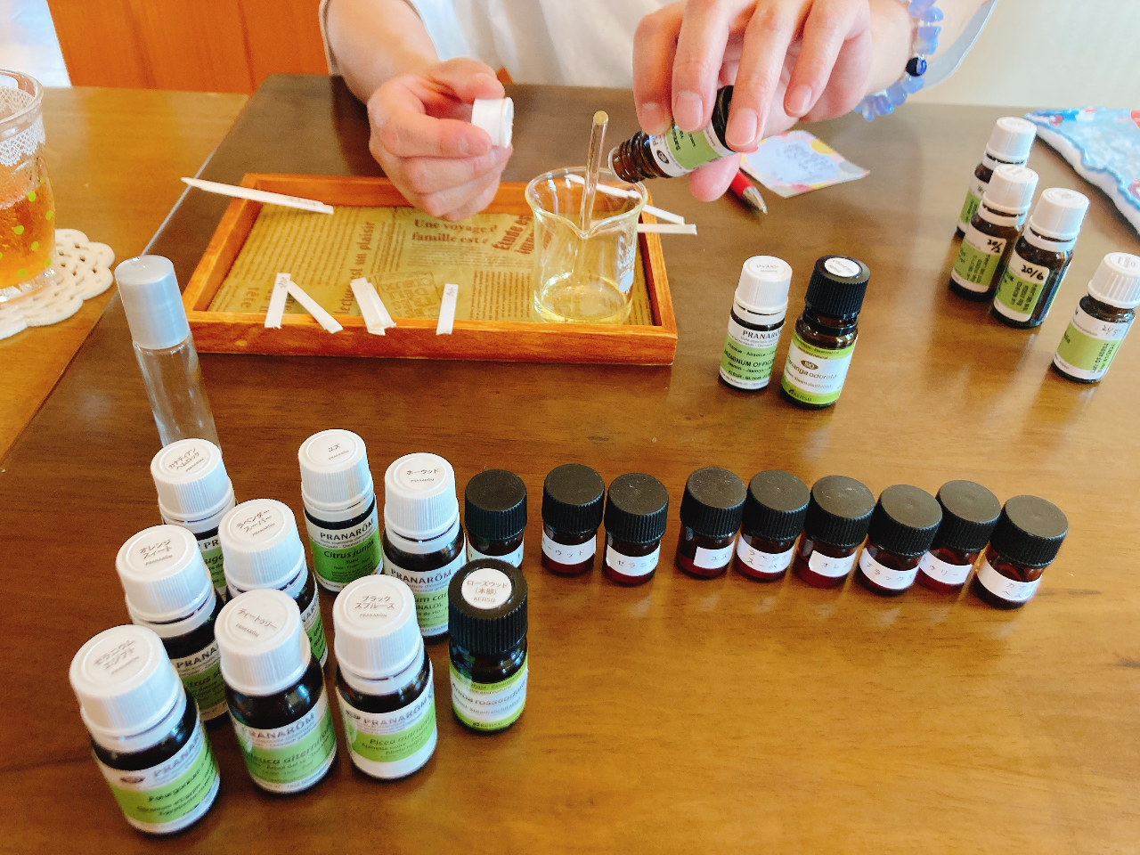 80ނ̍̒AЂƂЂƂɍĂ܂BCɓ6`10ޒxIŒĂ܂B