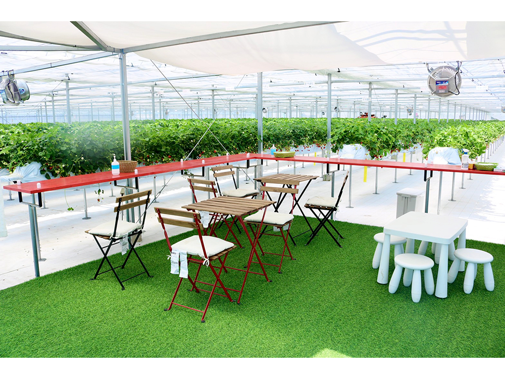 ハウスの内外に休憩スペースがございます♪皆さまのペースでごゆるりとご堪能くださいませ☆彡