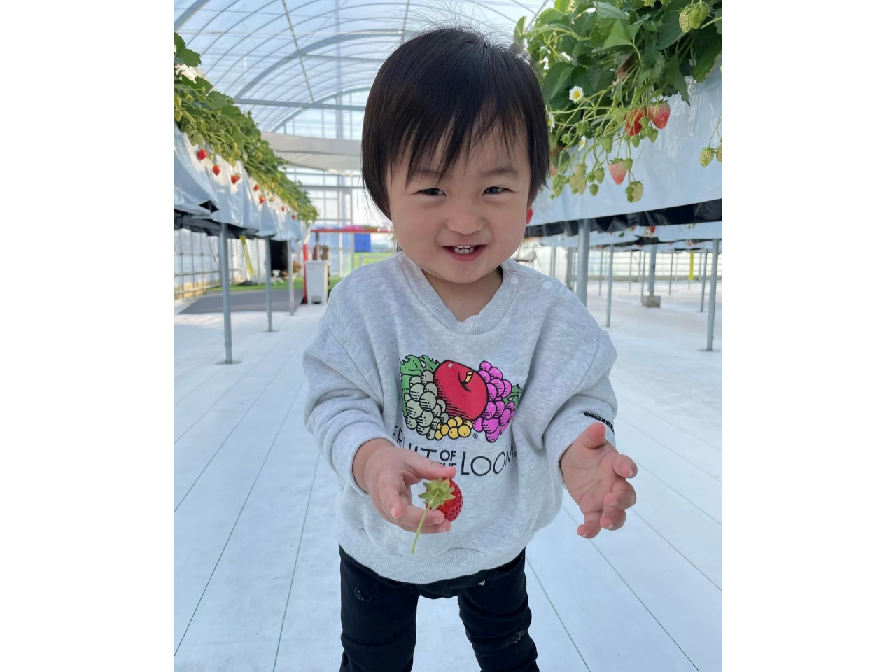 多様なこだわりの品種を揃えて、皆さまのお越しを心待ちにしております!芝生広場もあり、お子さま連れのご家族も快適に過ごせる環境を整えています。