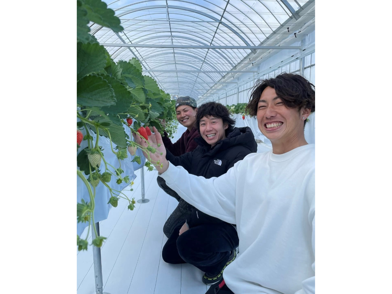 �։z�����ԓ��E����IC����ԂŖ�5���B���ԏ��60�䊮���I��������̂��q�l���C�y�ɖK��邱�Ƃ��ł��܂��B�ό��₨�o�����̂��łɁA���Ђ�������肭�������I��