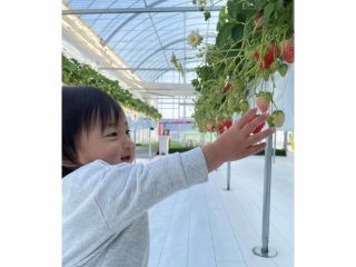 小さなお子さまにもお楽しみいただけるよう、手が届きやすい仕様にしております(^^)