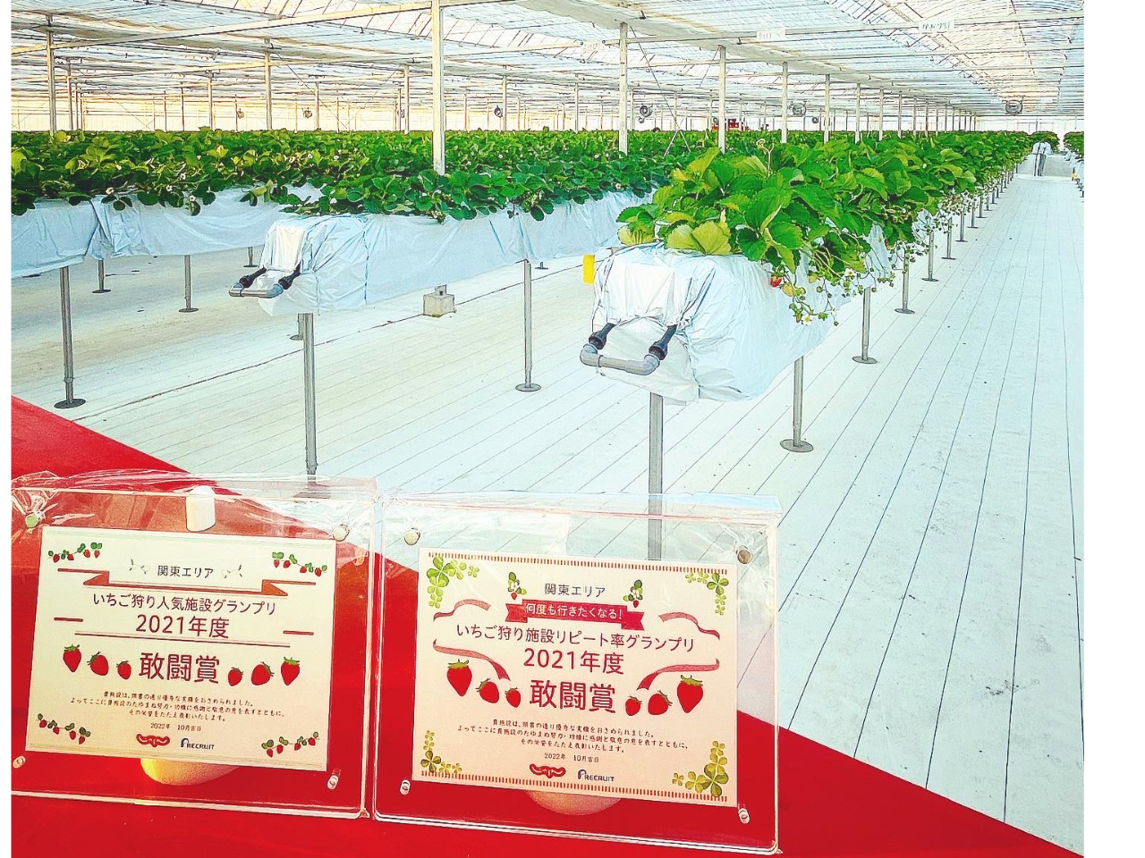 2021�N�x�֓��ŏW�q���A���s�[�g���œ��܂��ʂ����܂����I(�J�����N�x)