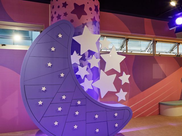 自分で見つけたお気に入りのおもちゃで、静かにじっくり遊び込んで行く、それがビジョン・スターです。