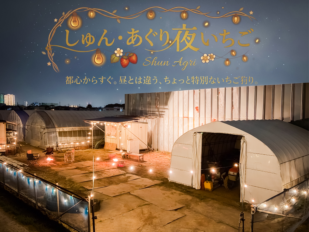 ■埼玉県八潮市■【ちょっと特別な夜のいちご狩り】都心から車ですぐ!ときめく苺スイ...