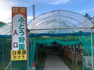 こちらは平地の方の園地です。