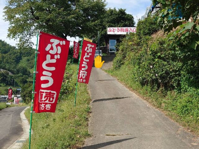 こちらは山の斜面の方の園地です。
