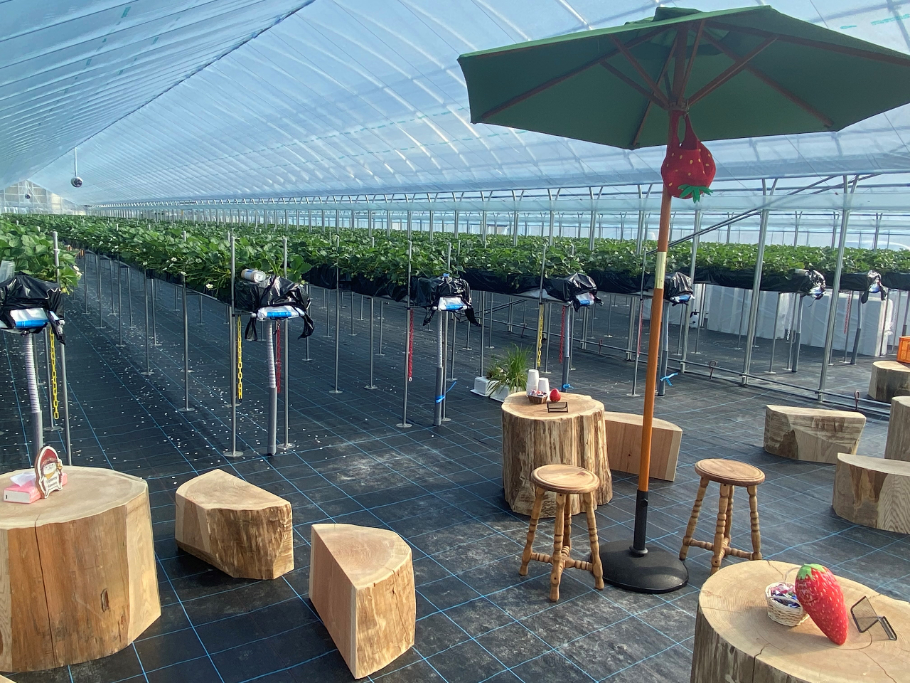 �x�e�X�y�[�X�ł�����肢������H�ׂĂ��������܂��I