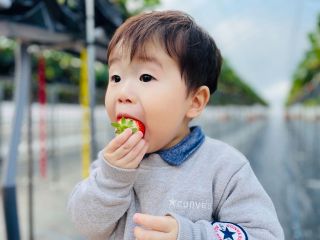 ご希望があれば、一眼レフカメラによる、いちごと一緒に思い出の写真をとらせていただきます♪