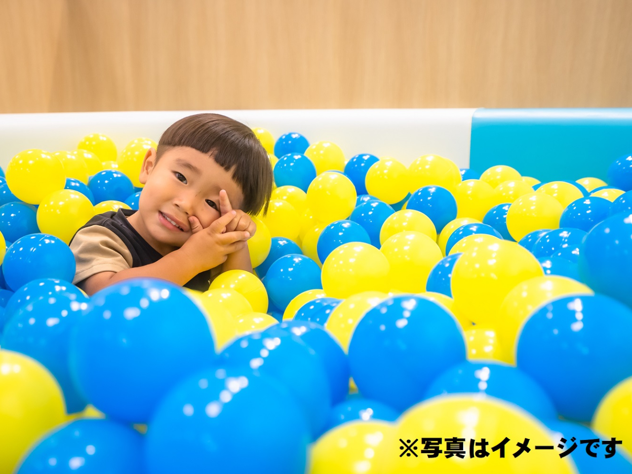 たくさんのボールが入った大きなプールで小さなお子様に大人気です。※写真はイメージです