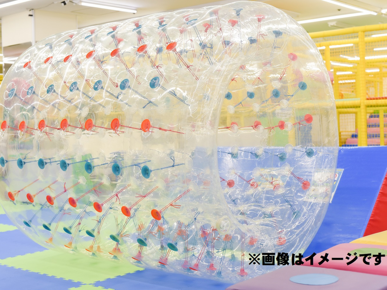 ̗VяI珋J̓VCCɂVׂSV^VnB