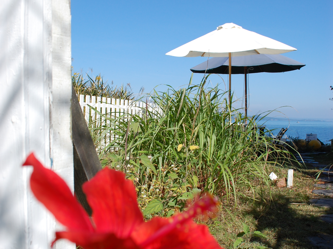 【能登島】釣り船で魚釣り体験+海の目の前!コテージの庭で貸切ゆったりBBQ♪もち...