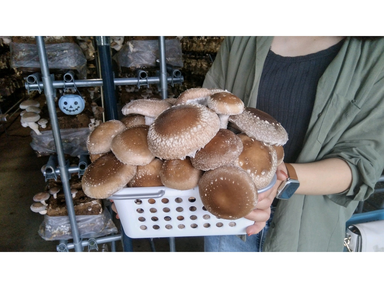 ����Ȃɂ���������n�ł��܂�����