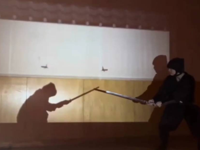 光と影の忍者ショー。忍者の熱いバトルを見てみよう!!!