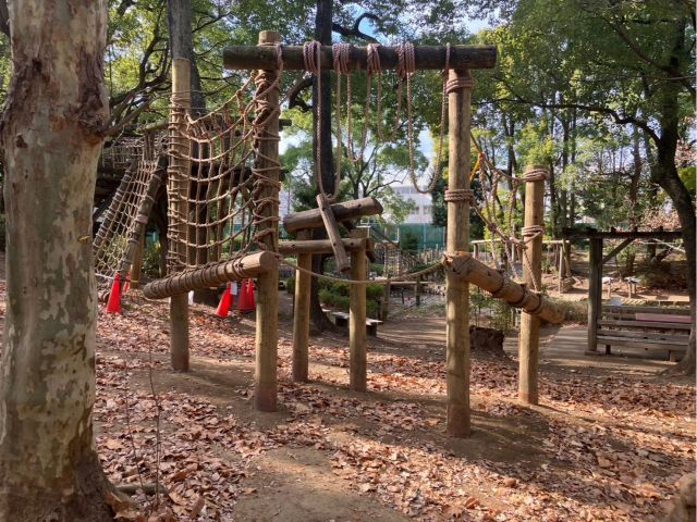 様々なアスレチックに挑戦だ!