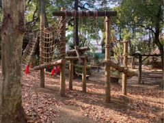 様々なアスレチックに挑戦だ!