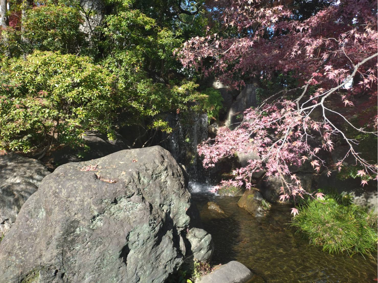 �Y��Ȓ뉀�ł��B