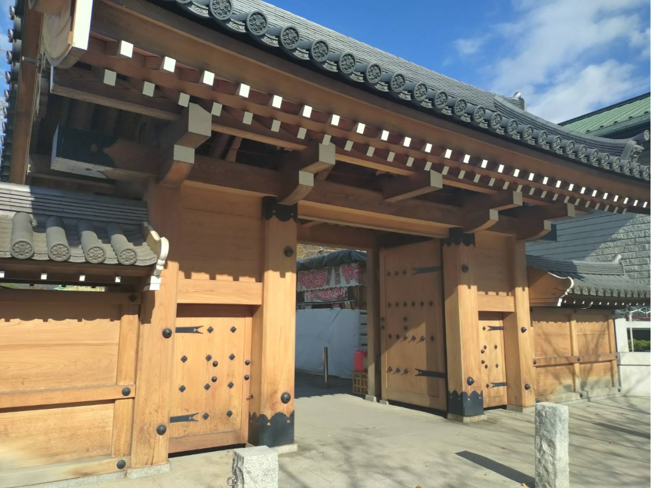 �ʐ^�f���X�|�b�g����R�I�I