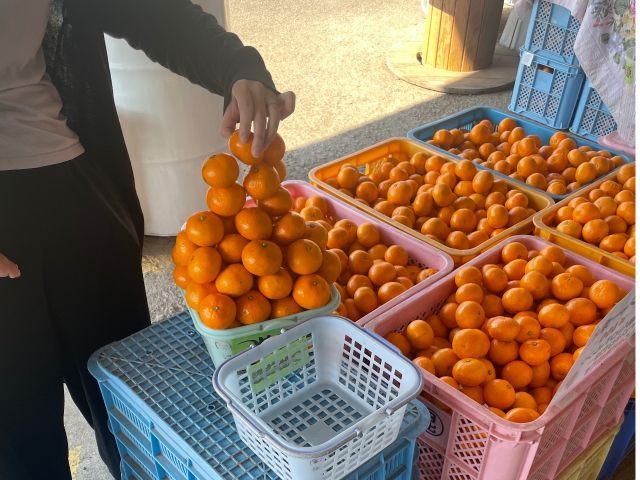 大人気詰め放題みかん♪