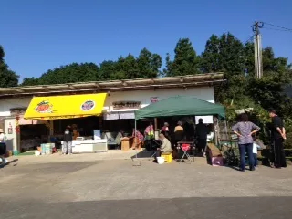 10月からみかん狩りが楽しめます