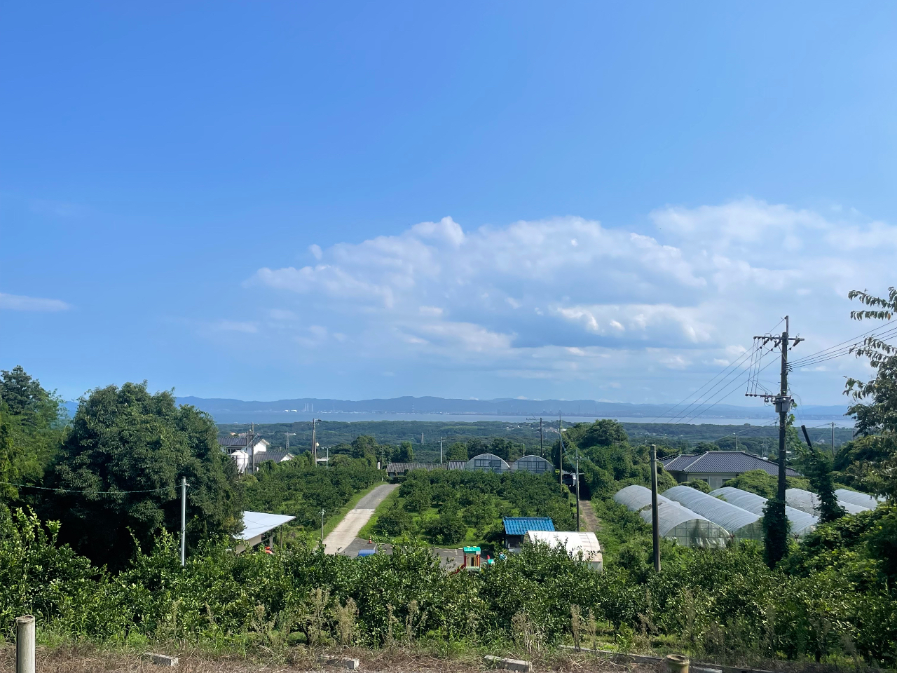 別府湾を眺めながらBBQをお楽しみいただけます