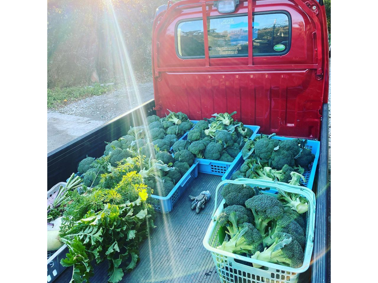 yt@[΁zFlɂ̃ubR[HׂĒłI