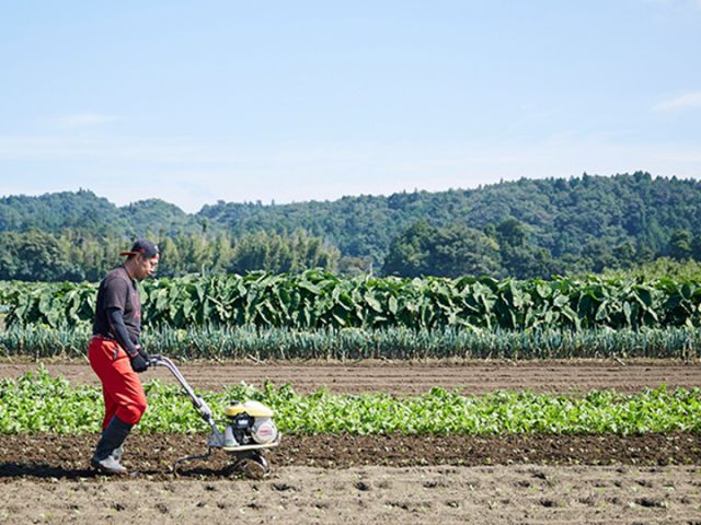 【ファーム白石】人と人が繋がる拠点のような畑に…