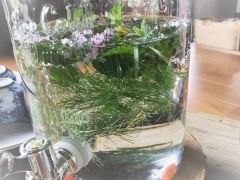 夏期は、朝にスタッフがチョイスして摘んだハーブで、ウェルカムドリンクをご用意。