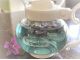 季節のハーブを園内から摘み取って、摘みたてのフレッシュハーブティーをお楽しみいただくメニューもございます。