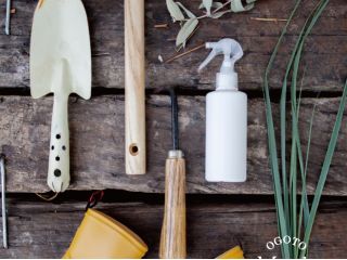 ハーブの香りは、心身の健康の維持や向上にとても役立ちます。 天然のハーブの香り成分を抽出した精油を使って、様々な目的に使えるアロマスプレーを作りましょう。