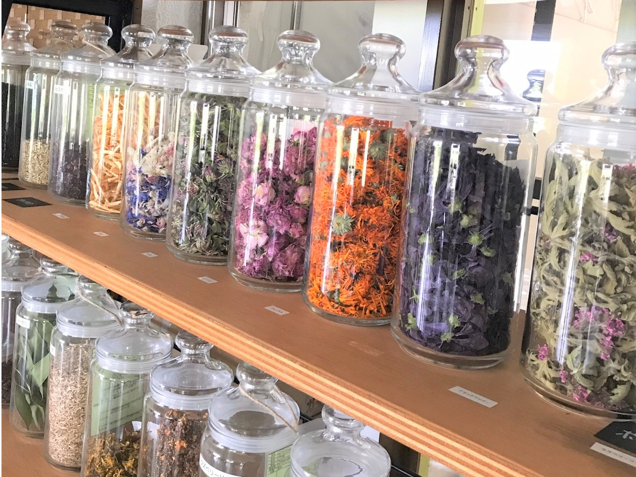 K[fY̖_hCn[uA}jAbNȗL@XpCXn[uȂǂʂ蔄ł߂܂B