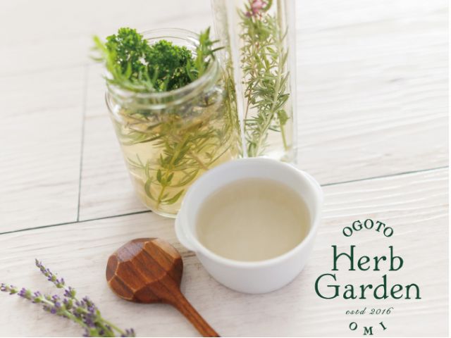 有機jas認証ハーブガーデンへようこそ 入園料 ハーブビネガーづくり 手軽にハーブを感じて楽しみましょう 近江おごとハーブガーデン じゃらん遊び体験 有機jas認証ハーブガーデンへようこそ 入園料 ハーブビネガーづくり 手軽にハーブを感じて楽しみましょう 近江おごとハーブガーデン じゃらん遊び体験