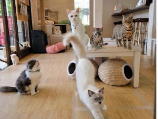 【店内】入口からお出迎え